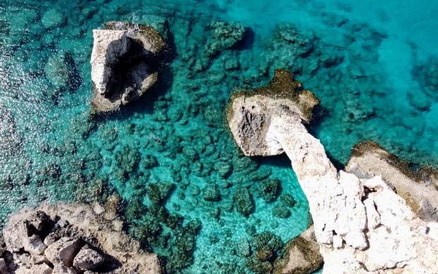 A grab from an AFPTV aerial video taken on April 14, 2021, shows corals in the crystal clear waters of Glyko Nero in Ayia Napa, in southeastern Cyprus. - With rising water temperatures threatening the endemic corals of the Mediterranean, local marine ecologist Louis Hadjioannou is monitoring the impact of climate change on the delicate fauna in the crystal clear waters of Glyko Nero in Ayia Napa, Cyprus. (Photo by Emily IRVING-SWIFT / AFP)