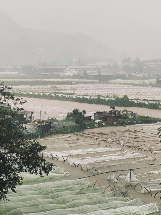 Agricultural damages and losses caused by typhoon Maring climbed to P1.74 billion, the Department of Agriculture (DA) reported Saturday.