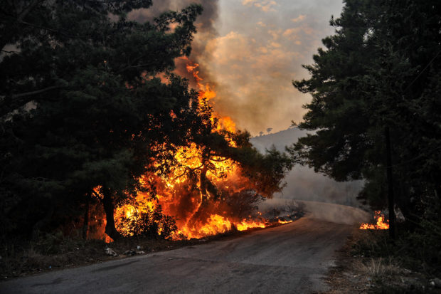Syria executes 24 people over deadly forest fires
