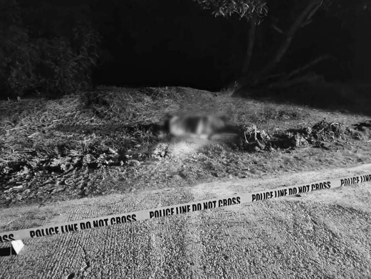A suspected drug trader was killed in an alleged shootout with the police in Zaragoza town, Nueva Ecija province