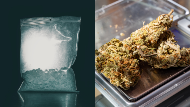 crystal meth (shabu) and marijuana drug trafficking