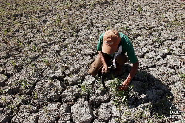 El Niño alarm elevated as Pagasa sees it will intensify in the coming months