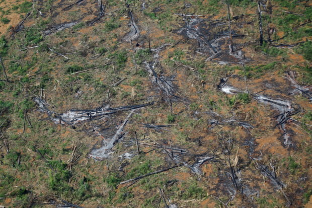Deforestation of Brazil's Amazon jumps 22% in annual gov't report