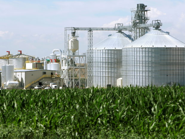 FILE PHOTO: An ethanol plant with its giant corn silos next to a cornfield in Windsor, Colorado July 7, 2006./File Photo