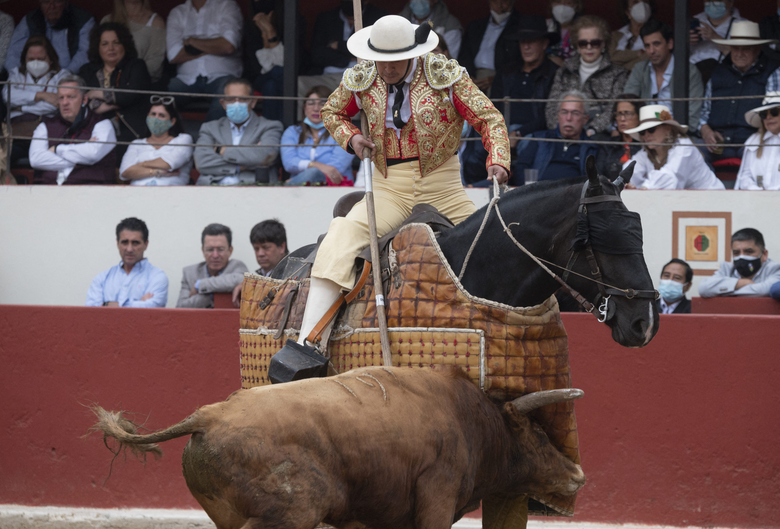 Ole! Bullfights return in Peru after lengthy pandemic pause | Inquirer News