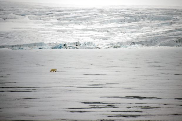 'Alarm bells' as UN validates record Arctic temperature