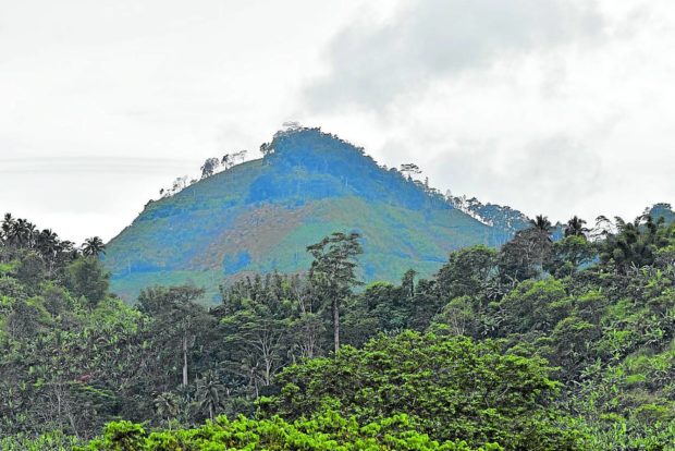 Makabol forest Davao DENR 