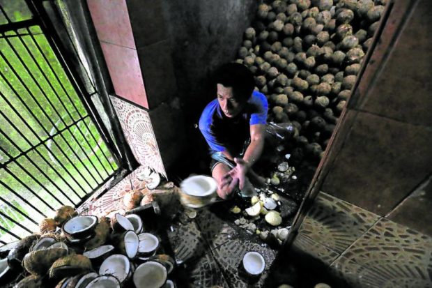 A training program implemented through a national government project was launched to help local exporters boost the country’s coconut industry. 