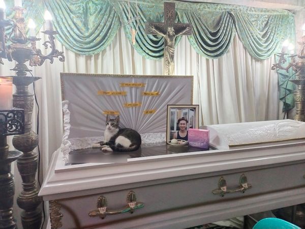 a cat lying down on top of its owner's coffin