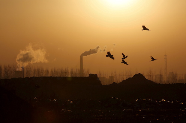 Birds fly over a closed steel factory where chimneys of another working factory are seen in background, in Tangshan