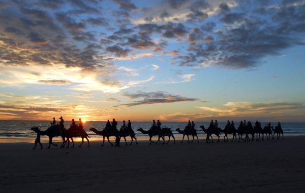 A camel train carries tourists on a sunset safari along Cable Beach located near the northwestern Australian town of Broome May 17, 2013. REUTERS/Julius Hunter