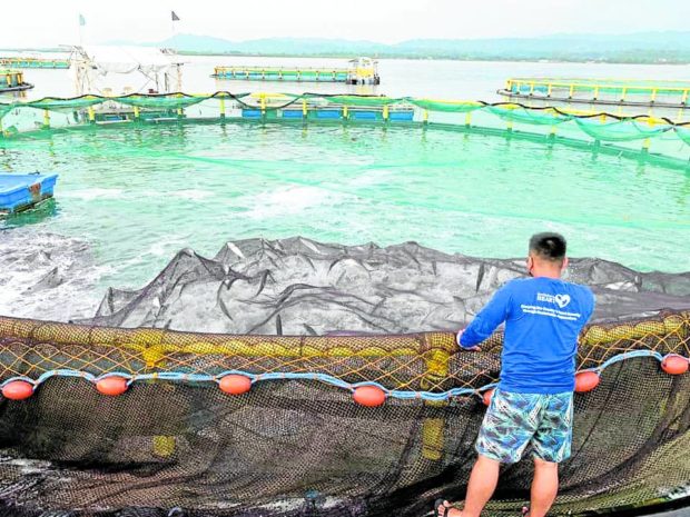 La Union fish cage. STORY: Marcos urged to create fisheries department