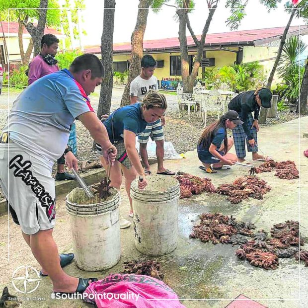 Women power in Sarangani Bay keeps coral predators away