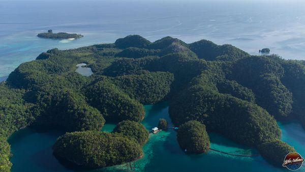 Siargao Island's Sugba Lagoon with lush vegetation and blue waters