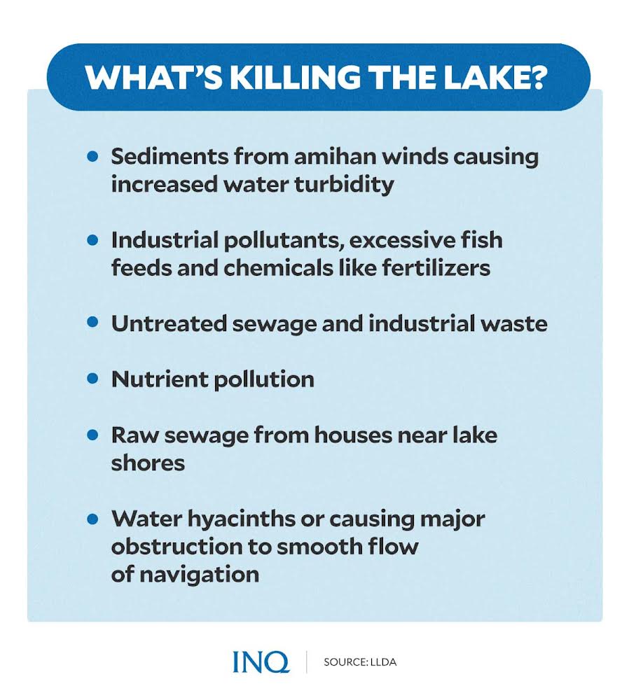 What's killing the lake?