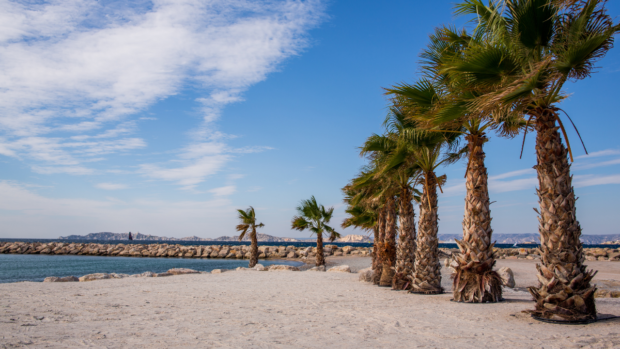 Marseille palms beach
