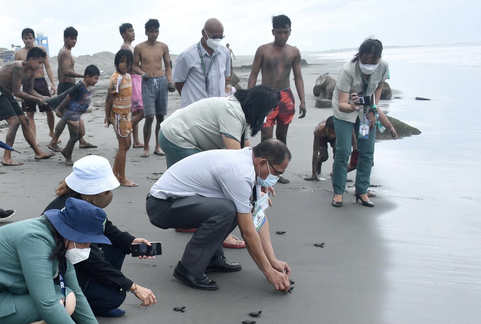 Twenty baby Olive ridley sea turtles (Lepidochelys olivacea) were released to their natural habitat on the coasts of Aparri town, Cagayan province, the Department of Environment and Natural Resources (DENR) in Cagayan Valley announced on Tuesday (Feb. 15).