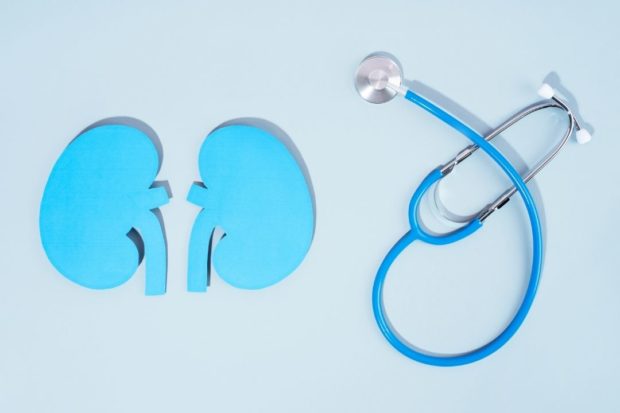 as patients with kidney ailments in PH rise