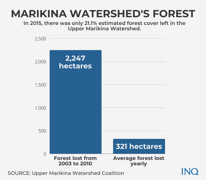 Marikina Watershed's Forest