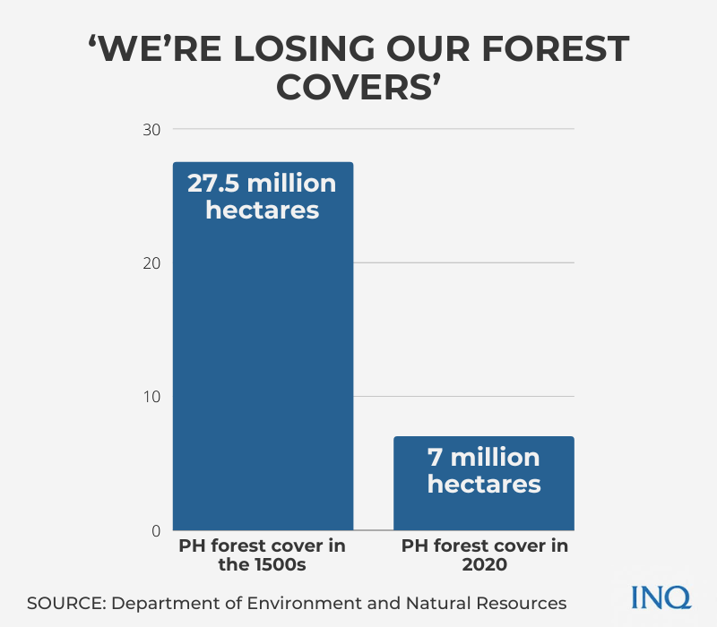 We're losing our forest covers