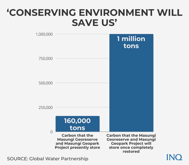 conserving environment will save us