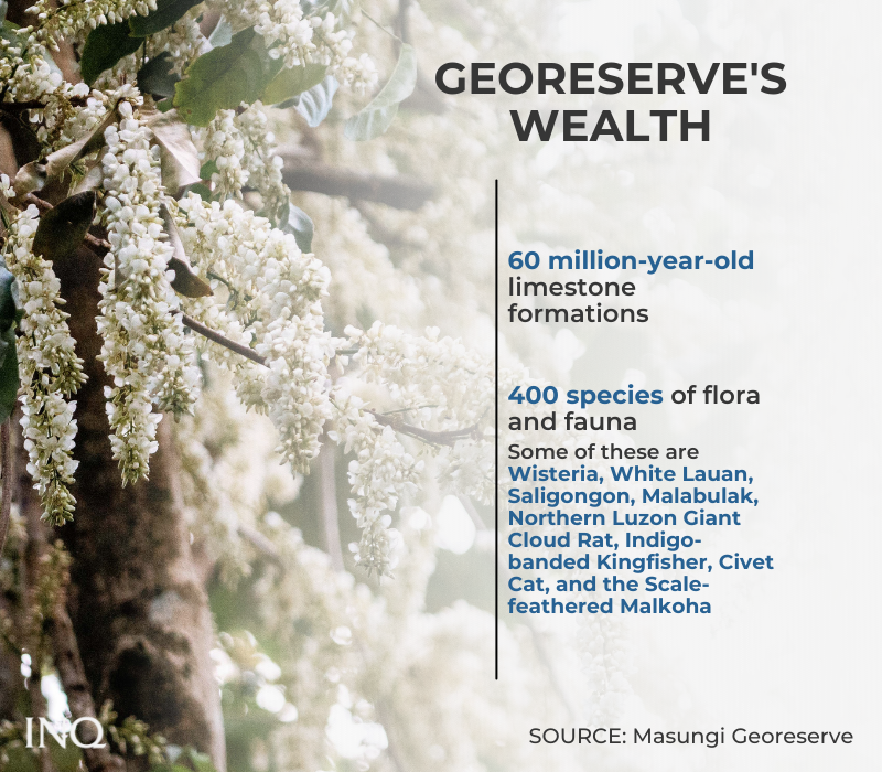 Georeserve's wealth