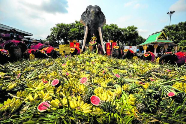 Thailand Elephant Day. STORY: Thailand lays out banquet for elephants