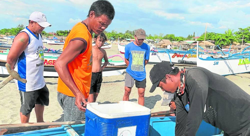 Fishermen in San Antonio, Zambales check their catch after a brief fishing trip within the municipal waters 