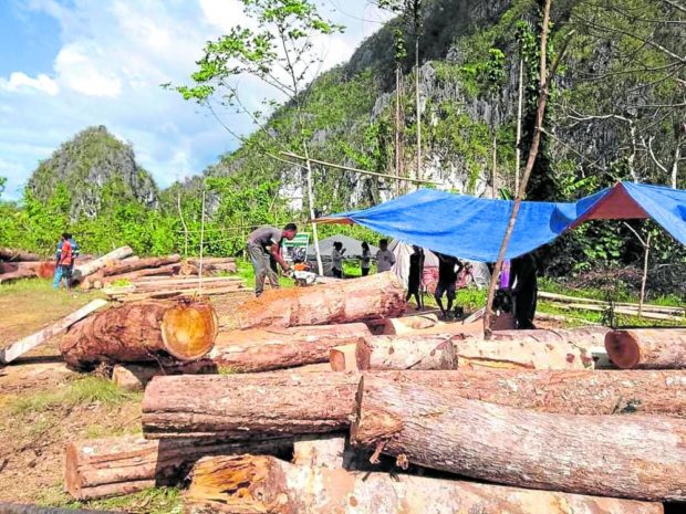 PPSRNP leadership reminded communities in the city of Puerto Princesa to protect local forests after illegally cut trees were discovered during its post-typhoon inventory 