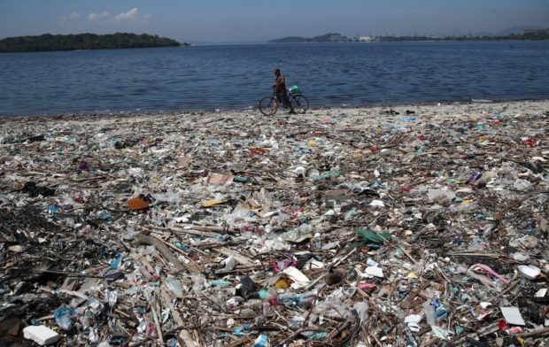 Brazilian biologists ‘frightened’ at amount of microplastics in Rio marine life