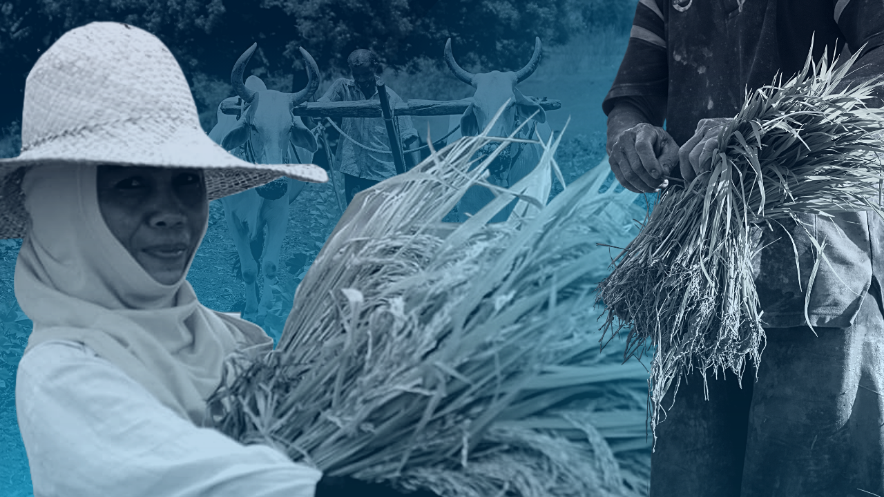 Farmers and their lands in the Philippines
