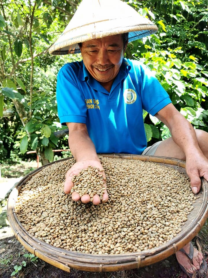Mabini Ubuan shows off the coffee beans cultivated in Sigay town in Ilocos Sur province