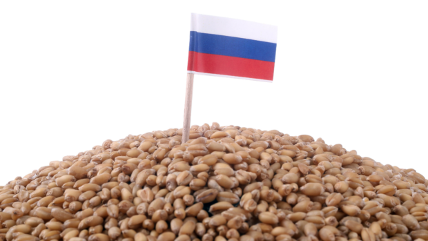 Russia grain export