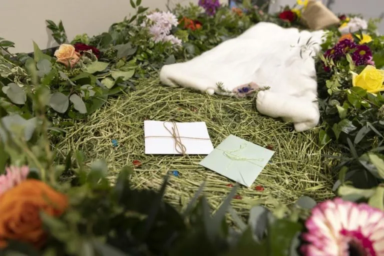 US 'green' burial