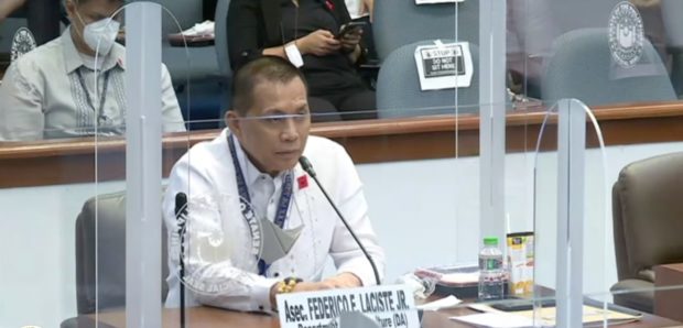 Agriculture Assistant Secretary Federico Laciste Jr. claims receiving calls from personalities allegedly involved with smuggling during a hearing of the Senate Committee of the Whole on agricultural smuggling. Screengrab from Senate livestream