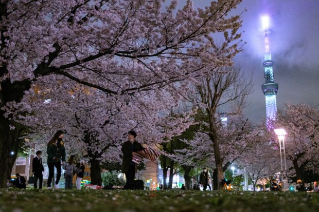 People gather for cherry blossom viewing, also known as "hanami", with the background of the Tokyo Skytree (R), at Kinshi Park of Sumida district in Tokyo on March 30, 2022. (Photo by Philip FONG / AFP)