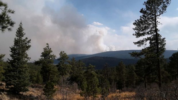 Drought-driven wildfire leaves ‘moonscape’ in New Mexico