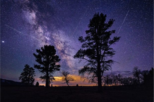 Lyrid meteor shower. STORY: 2 meteor showers for sky watchers
