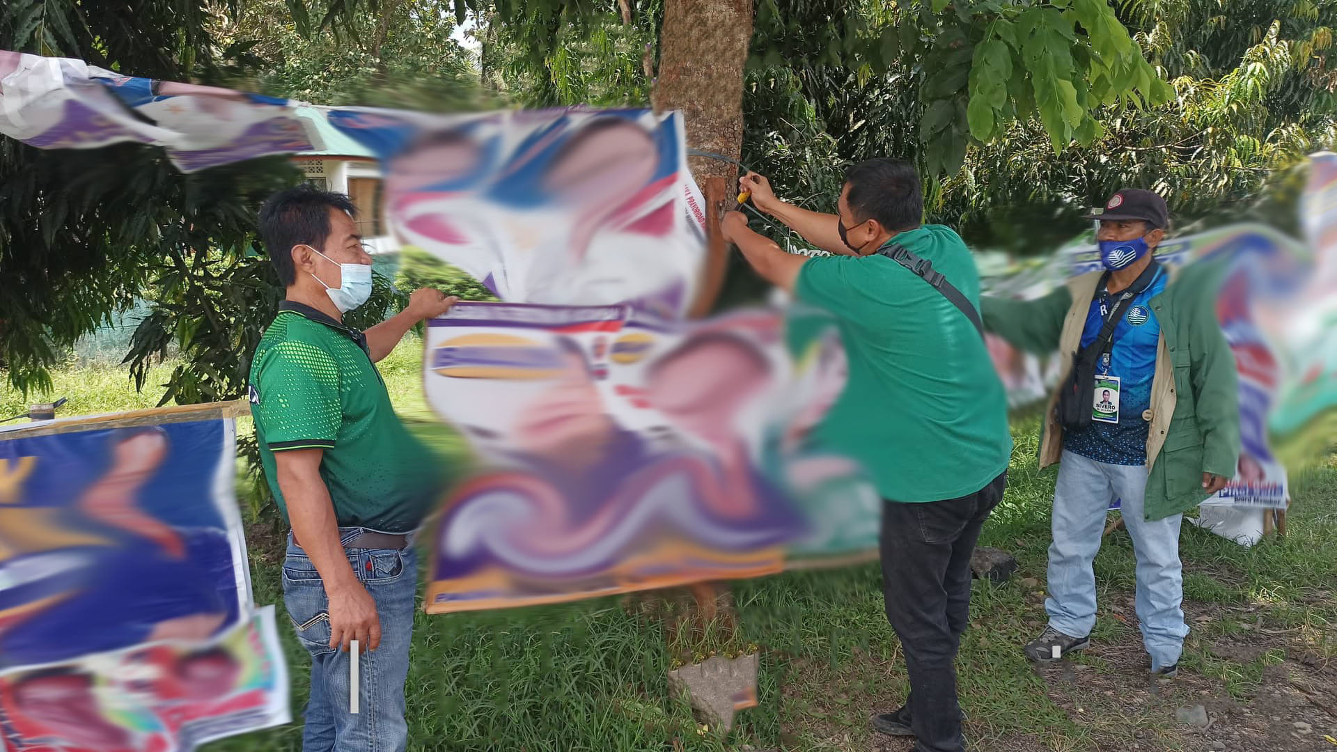 Personnel of DENR-12 remove political propaganda materials nailed and tacked on trees across Region 12