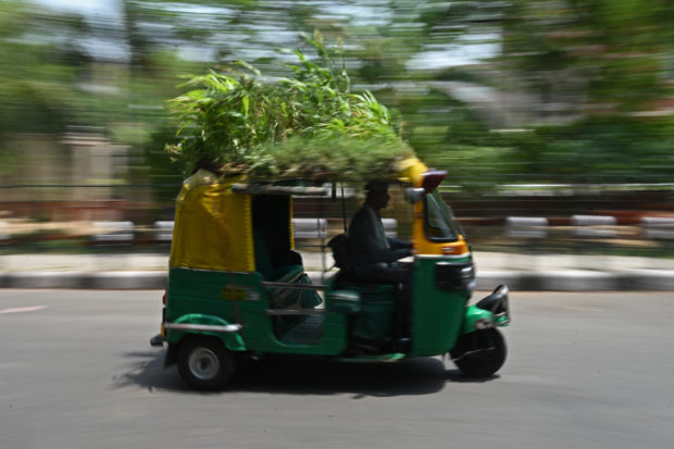 Delhi driver grows garden on autorickshaw roof to beat the heat
