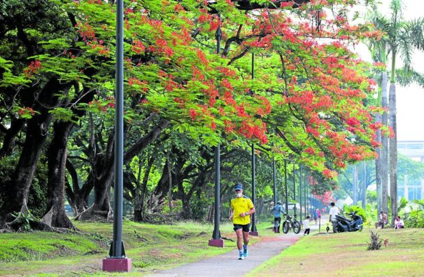 FIND YOUR SPOT Joggers, bikers and picnickers soak in nature’s beauty under a canopy of fire trees along University Avenue of the University of the Philippines campus in Diliman, Quezon City, on Sunday morning, hours before rain drenched parts of Metro Manila. —NIÑO JESUS ORBETA