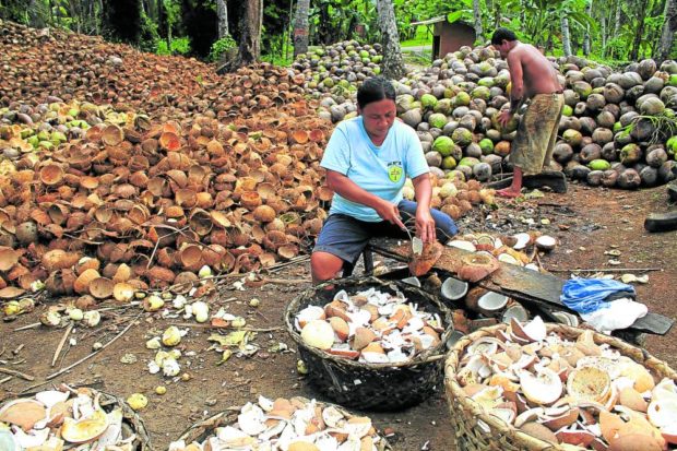Coconut farmers in the village of Robocon in Linamon, Lanao del Norte province, in this photo taken in June 2019, eke out a living by manually drying their harvest into copra while waiting for the benefits due them from the coconut levy fund. STORY: Farmers to Marcos: Ensure return of coco levy