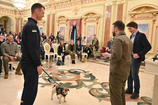 Ukraine’s mine sniffing dog Patron awarded medal by Zelensky