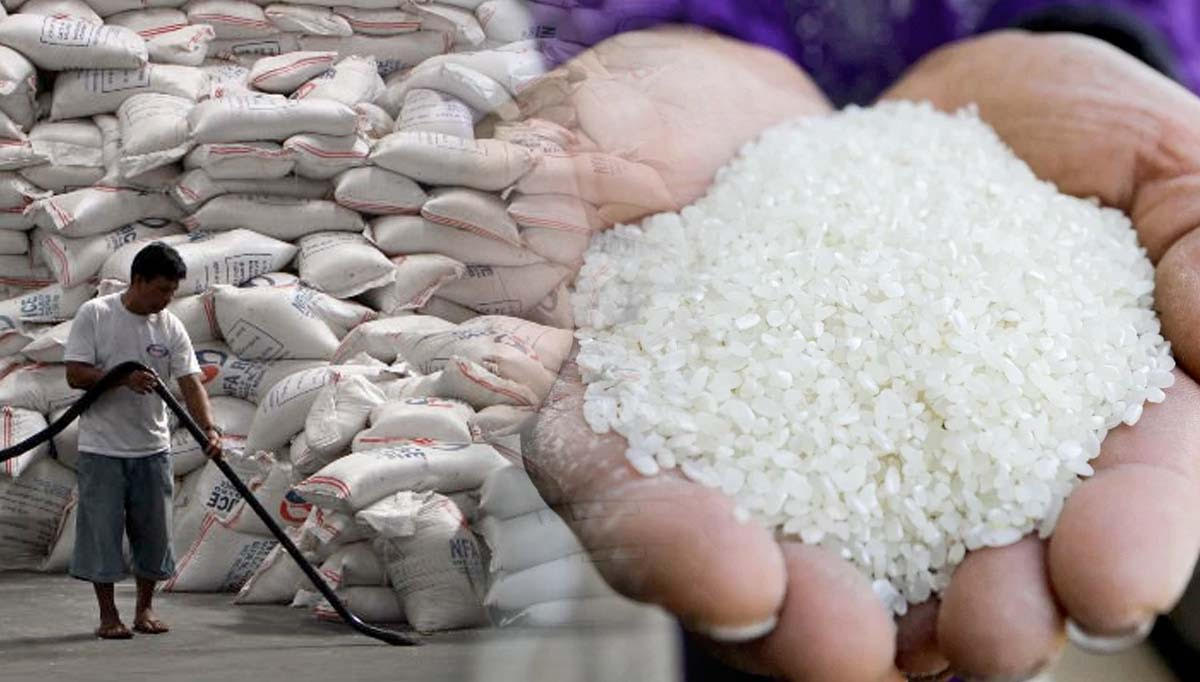 P20 kilo rice