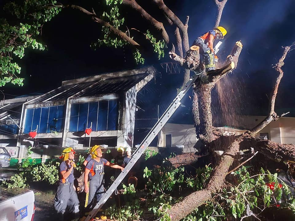 Heavy rainfall topples trees, triggers floods in Olongapo