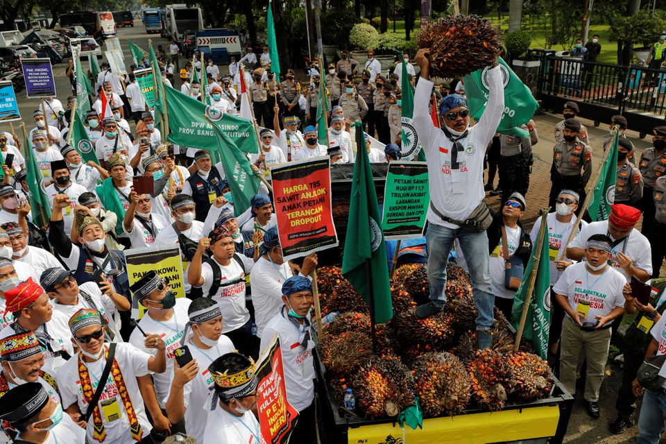 Indonesian Farmers Stage Protests Against Palm Oil Export Ban ...