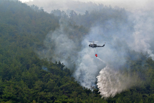 Lebanon pine forest blaze begins wildfire season