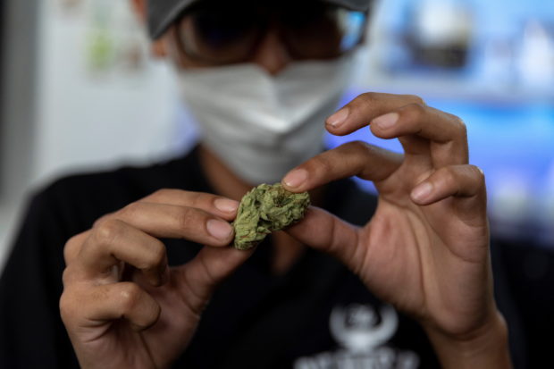 Highland Cafe's first customer Rittipomng Bachkul holds up a piece of cannabis at the Highland Cafe on the first day of removing it from the narcotics list under Thai law in Bangkok, Thailand, June 9, 2022. REUTERS/Athit Perawongmetha