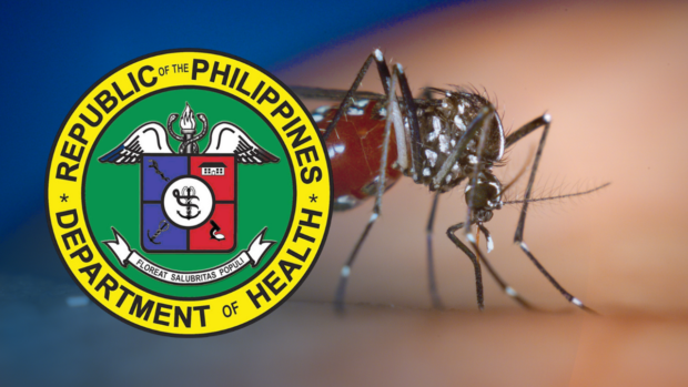 DOH logo over blown-up photo of mosquito. STORY: Dengue cases in Metro Manila slightly rises, up to 3,975