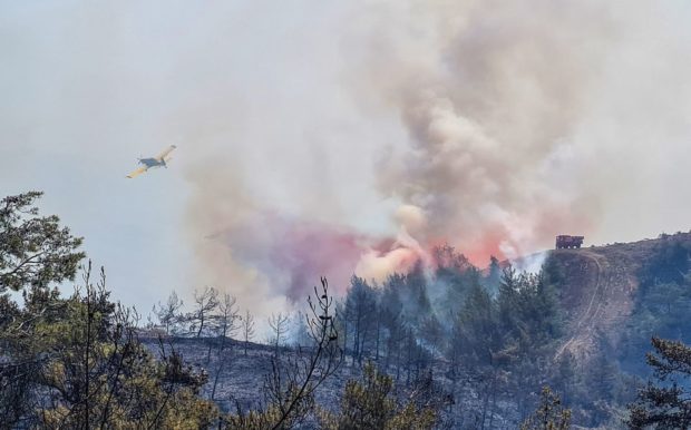 Wildfire in southwest Turkey whipped up by wind and heat